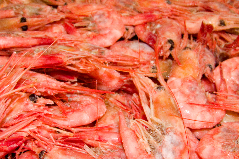 Красивая фотография креветки северная 70+ вареномороженые в рыбном магазине Омега-3 в Митино